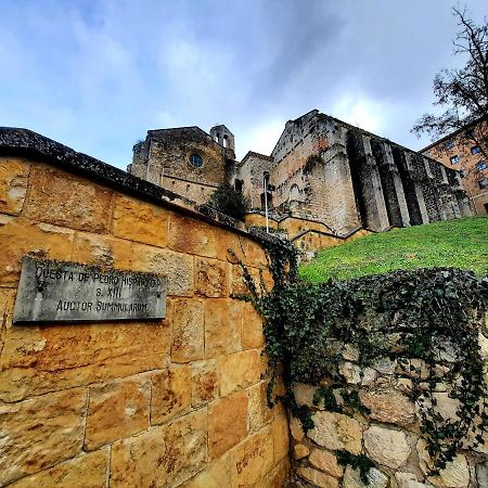 Apartamento Medieval En El Camino De Santiago Estella Kültér fotó